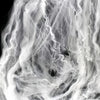 Realistic Stretchable Cotton Spider Web