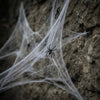 Realistic Stretchable Cotton Spider Web